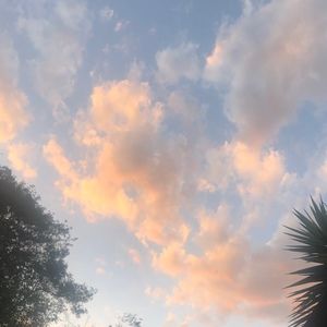 Meet your Posher, Ali